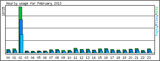 Hourly usage