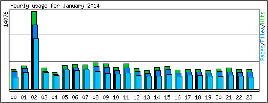 Hourly usage