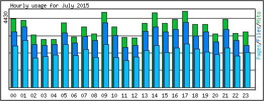 Hourly usage