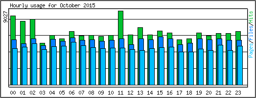 Hourly usage