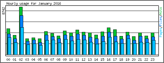 Hourly usage