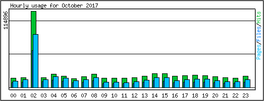 Hourly usage