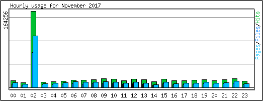 Hourly usage