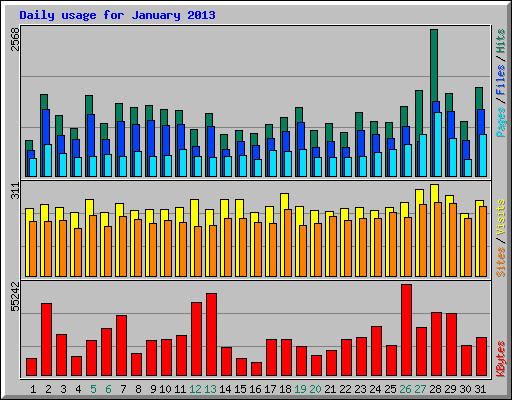 Daily usage for January 2013