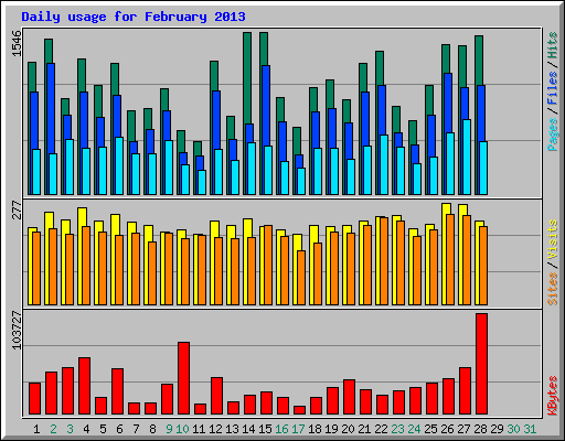 Daily usage for February 2013