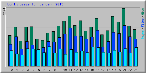 Hourly usage for January 2013