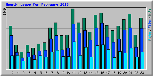 Hourly usage for February 2013