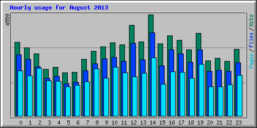 Hourly usage for August 2013