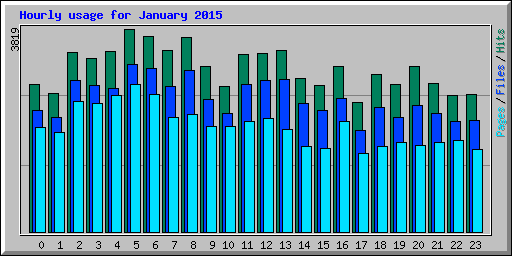 Hourly usage for January 2015