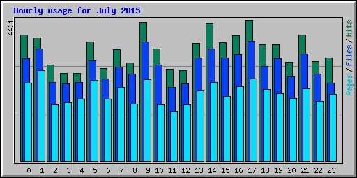 Hourly usage for July 2015