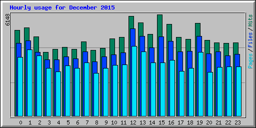 Hourly usage for December 2015