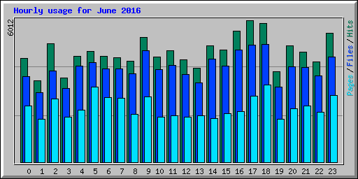 Hourly usage for June 2016