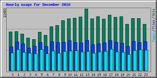 Hourly usage for December 2016