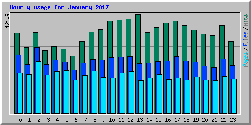 Hourly usage for January 2017